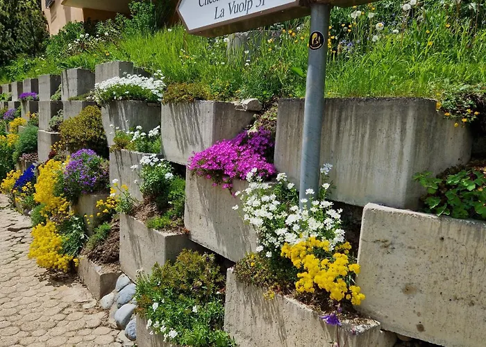 Chesa Bellaval, Haus La Vuolp 2 1 2 - Zimmerwohnung Silvaplana