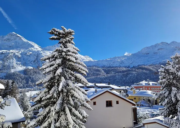 Appartement Chesa Bellaval, Haus La Vuolp 2 1 2 - Zimmerwohnung *